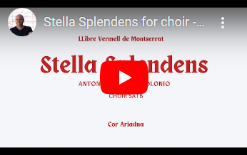 Stella_splendens